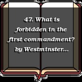 47. What is forbidden in the first commandment?