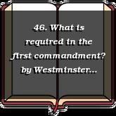 46. What is required in the first commandment?