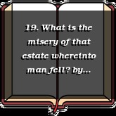 19. What is the misery of that estate whereinto man fell?