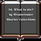 14. What is sin?