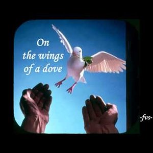 ON THE WINGS OF A DOVE