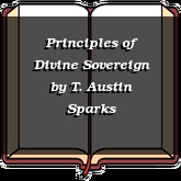 Principles of Divine Sovereign