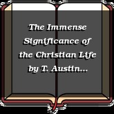 The Immense Significance of the Christian Life