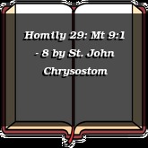 Homily 29: Mt 9:1 - 8