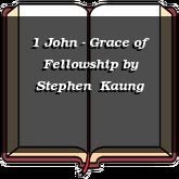 1 John - Grace of Fellowship