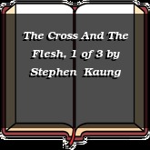 The Cross And The Flesh, 1 of 3