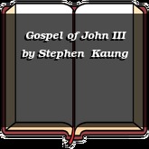Gospel of John III