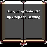Gospel of Luke III