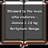 Blessed is the man who endures -- James 1.12