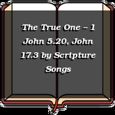 The True One -- 1 John 5.20, John 17.3