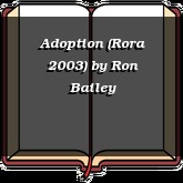 Adoption (Rora 2003)