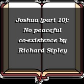 Joshua (part 10): No peaceful co-existence