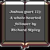 Joshua (part 11): A whole-hearted follower