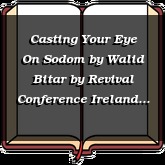 Casting Your Eye On Sodom by Walid Bitar