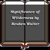 Significance of Wilderness