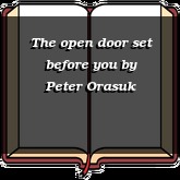 The open door set before you