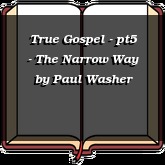 True Gospel - pt5 - The Narrow Way