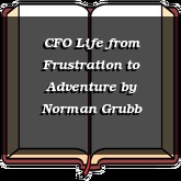 CFO Life from Frustration to Adventure