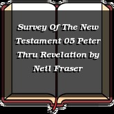 Survey Of The New Testament 05 Peter Thru Revelation
