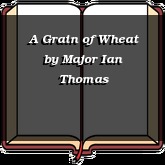 A Grain of Wheat