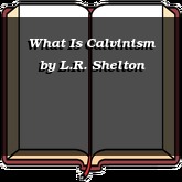 What Is Calvinism