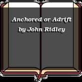 Anchored or Adrift