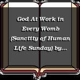 God At Work in Every Womb (Sanctity of Human Life Sunday)
