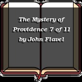 The Mystery of Providence 7 of 11