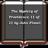 The Mystery of Providence 11 of 11