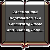 Election and Reprobation #13 Concerning Jacob and Esau