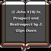 (1 John #18) In Prospect and Restrospect