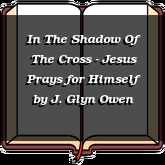 In The Shadow Of The Cross - Jesus Prays for Himself