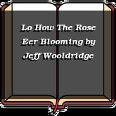 Lo How The Rose Eer Blooming