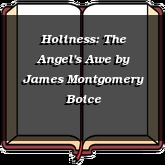Holiness: The Angel's Awe