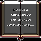 What Is A Christian 20 Christian An Ambassador