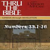 Numbers 13.1-16