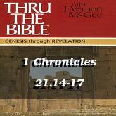 1 Chronicles 21.14-17