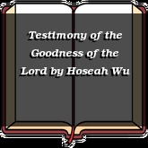 Testimony of the Goodness of the Lord