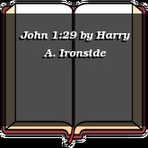 John 1:29