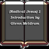 (Radical Jesus) 1 Introduction