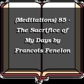 (Meditations) 85 - The Sacrifice of My Days