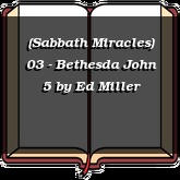 (Sabbath Miracles) 03 - Bethesda John 5
