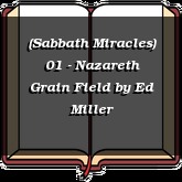 (Sabbath Miracles) 01 - Nazareth Grain Field