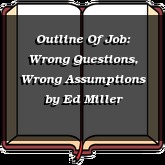 Outline Of Job: Wrong Questions, Wrong Assumptions