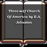 Three-self Church Of America