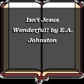 Isn't Jesus Wonderful!