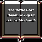 The Turtle God's Handiwork