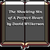 The Shocking Sin of A Perfect Heart