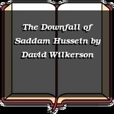 The Downfall of Saddam Hussein