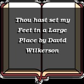 Thou hast set my Feet in a Large Place